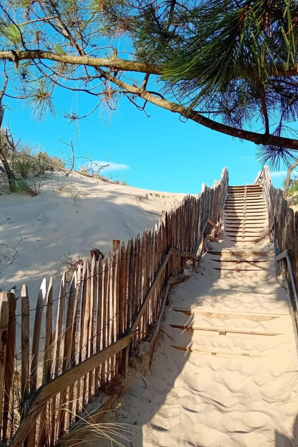Holiday Home Les Pinasses By Interhome Mimizan-Plage Eksteriør bilde